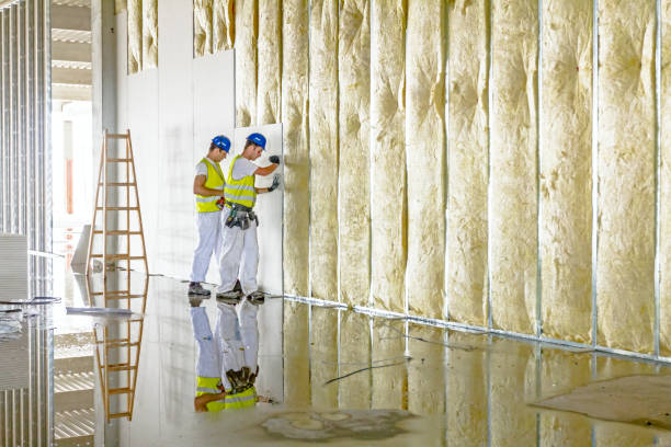 Types of Insulation We Offer in Boutte, LA